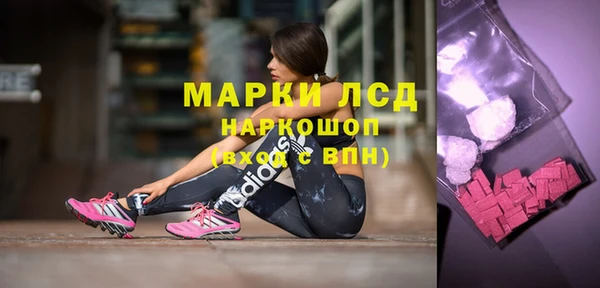 молекула духа Покровск