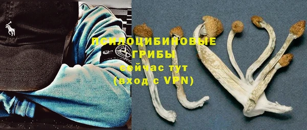 сатива Покров