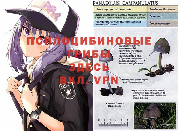 mdma Пестово