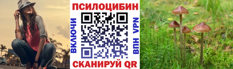 Псилоцибиновые грибы мицелий  наркошоп  Зеленокумск 