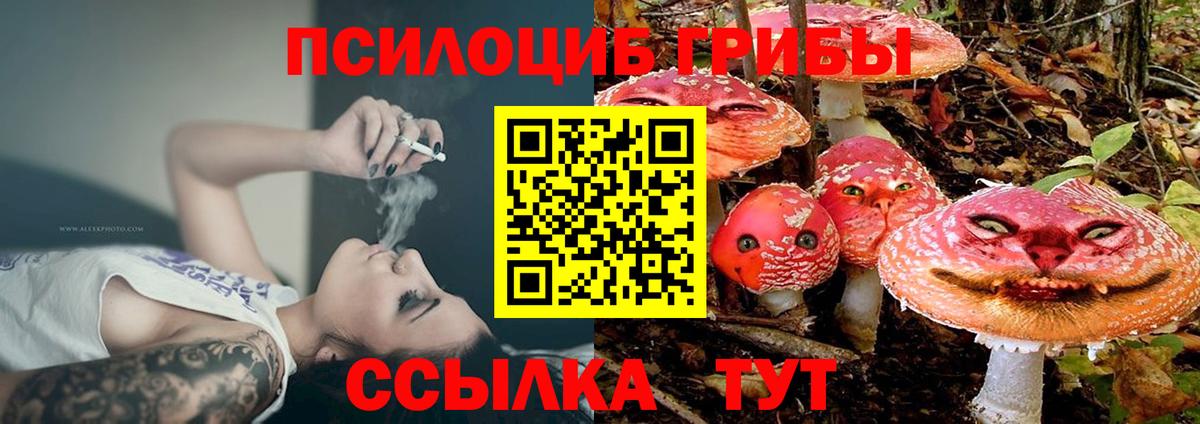 Галлюциногенные грибы прущие грибы Зеленокумск